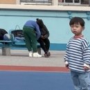 구룡어린이공원 | 홍콩 여행 :) 2일차 (1) - elegant tang Dynasty 기념품샵, 베이크하우스, 구룡공원, 얏퉁힌, 초이홍아파트