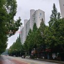 GS25 매탄공단점 이미지