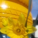 세진모터스 이미지