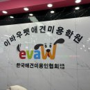 대구애견미용 홍스펫그루밍 | 부산애견미용학원 직장인도 배울 수 있다!