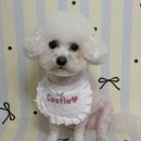 멍데이 살롱 이미지