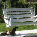 업동이네 이미지