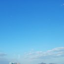 일박이일 이미지