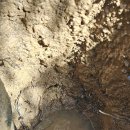 디엠에스 이미지