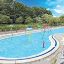 양재천(서초구) 이미지