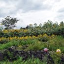 구름다리농장 이미지