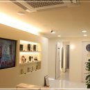 더고은피부 이미지