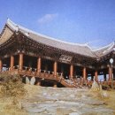 국보31호 이미지