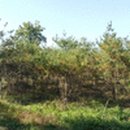 문산읍-7 이미지