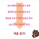 용운점핑다이어트