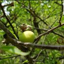 회봉농장 이미지