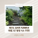 그곳엔 | 제주 동북쪽 숙소 추천,가족 모두 편안하게 힐링한 독채 펜션 대흘그곳 6월 숙소 후기