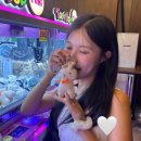 뽑기뽑기 | 서산 인형뽑기 롯데시네마 인형뽑기방 미니뽑기 솔직후기