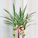 승진농장2 이미지