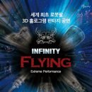 인피니티 플라잉 이미지