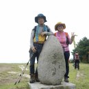 이화초등학교 이미지