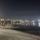 🌙 대구 수성못 야경 산책｜잠 안 오는 밤, 괜히 더 좋았던 수성못 한 바퀴