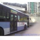 영신버스 이미지