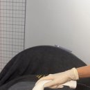 퍼스트페이스 | 해운대 에스테틱 복부관리 퍼스트라이트 솔직후기