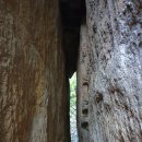 동광탕 (국민연금공단) | 뚜벅이로 찾아간 향일암🎈🚋 (버스시간표, 향일암 가는 방법)