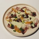[잠실 석촌호수 맛집]세이버릿 Savorite 솔직후기, 분위기 좋은 와인바🍷
