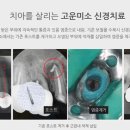고운치과병원 이미지