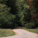 산새소리민박 | 호텔의 소음과 북적이는 인파에 지쳤나요? 오직 당신만을 위한 프라이빗 독채 펜션 BEST 3