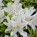 해남군청 사거리 이미지