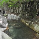 덕현농장 이미지