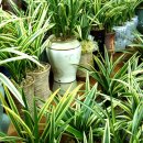 필동마을회관 이미지