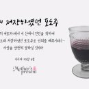 하나님의 교회 안상홍님은 우리의 하나님이시라 이사야 25장 9절 이미지