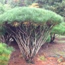 반송농장 이미지