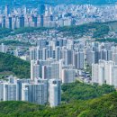 도심숲