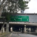 싱싱빅마켓 이미지