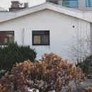 커피체리 | 야외 테라스 감성 굿 군자역 근처 대형 카페 체리커피 후기