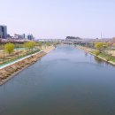 안양천 산책로 이미지