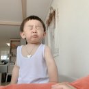 야니랜드 이미지