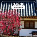 옻골로 | [대구 옻골마을] 홍매화 보러 갔다가, 고즈넉한 한옥길에 마음을 내려놓고 왔습니다