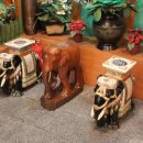 (주) 타이가든 이미지