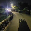 다랑들락 이미지