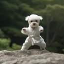 방배천로7-1 이미지