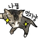 워낭명가 이미지