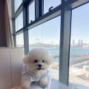 캐빈스위트광안 이미지