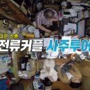 (주)전진투어 네이버블로그