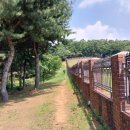 최혼 선생 묘 이미지