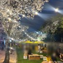 스테이 낭낭 이미지