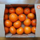 진홍농장 이미지