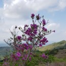 좋은아침 이미지