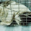 장동호동물병원 이미지