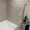 좋은이웃들 | 욕실셀프코팅제 [ 폼포나치 리빙코트 ] 공구 링크